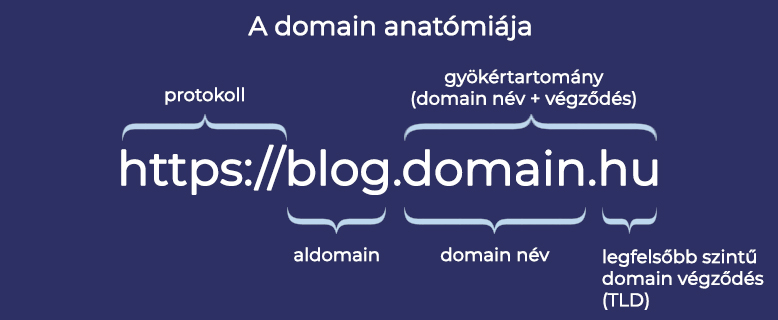 Domain anatómia